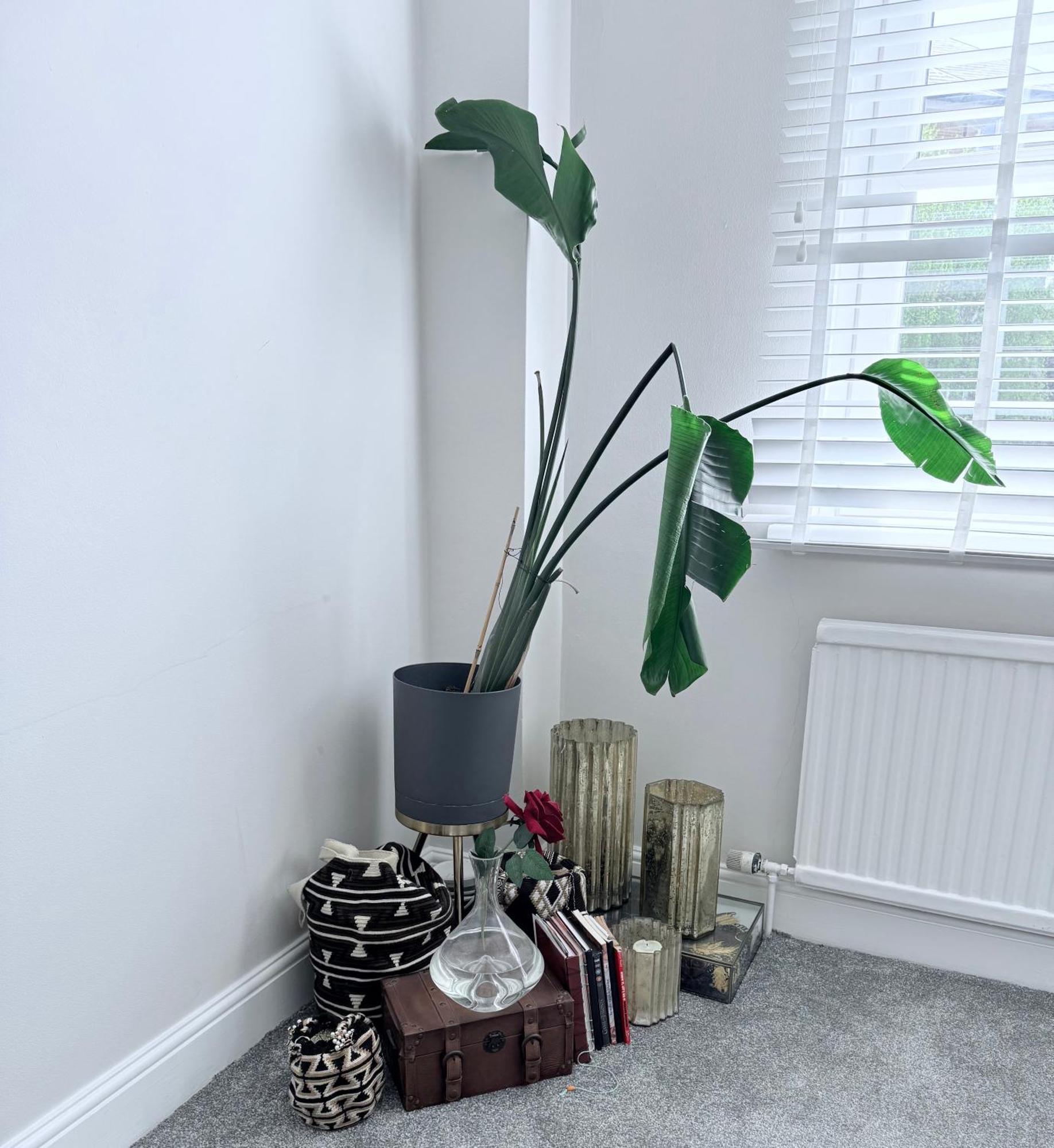 Bright And Modern Flat Near Portobello Road And The Canal Apartment